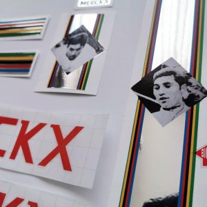 Eddy Merckx Faema decal set BICALS