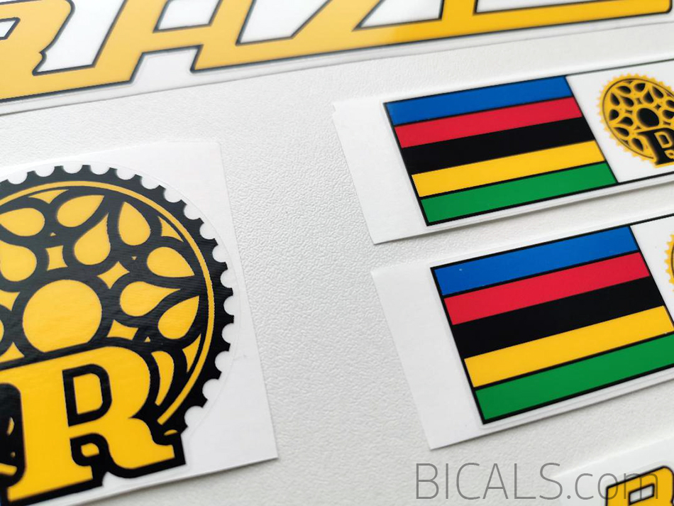 RAZESA V1 decal set sticker complete bicycle FREE SHIPPING