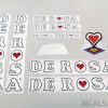 DE ROSA V1 decal set BICALS 1